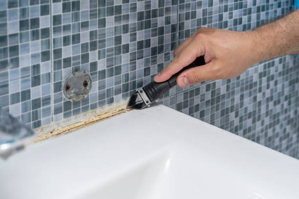Best Professional Mold Removal  in Red Oak, IA