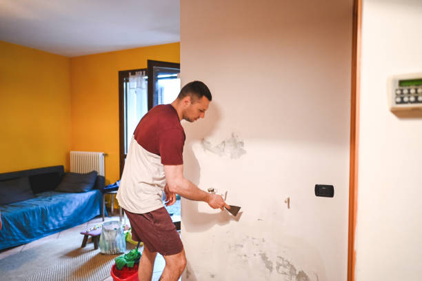 Best Office Mold Removal Services  in Red Oak, IA