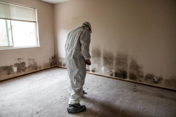 Best Crawl Space Mold Removal  in Red Oak, IA