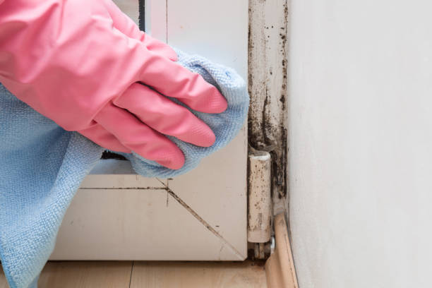 Best Residential Mold Removal  in Red Oak, IA